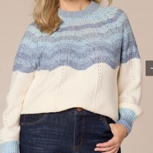 Democracy Blouson Sleeve Round Neck Ombre Placement Stitch Size PM Sweater NWT.